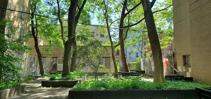 Alexander's Alley Picture 3