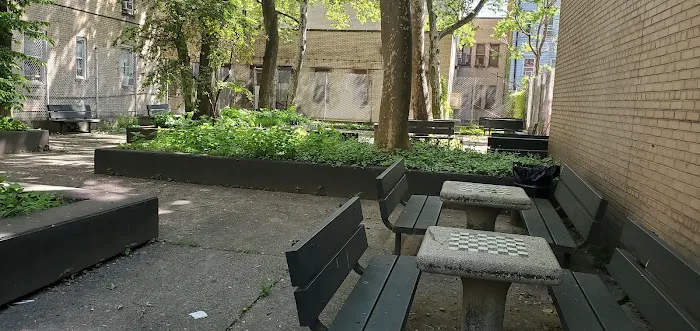 Alexander's Alley Picture 4