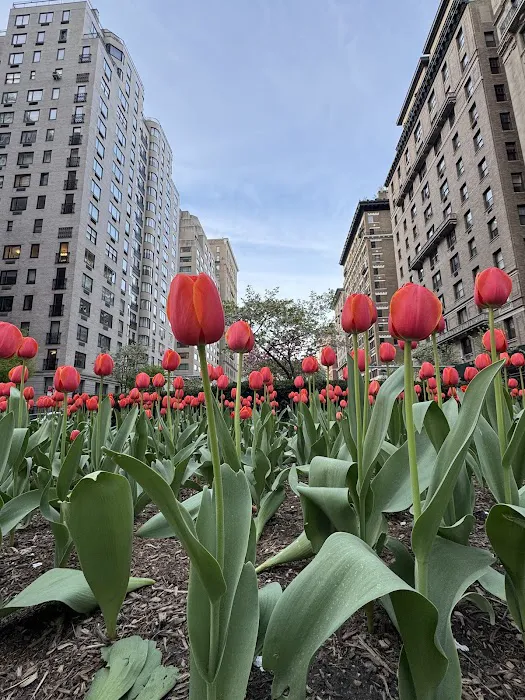 Park Ave Picture 5