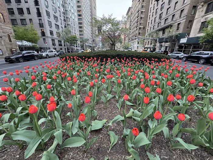 Park Ave Picture 8