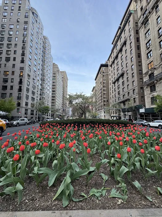 Park Ave Picture 9