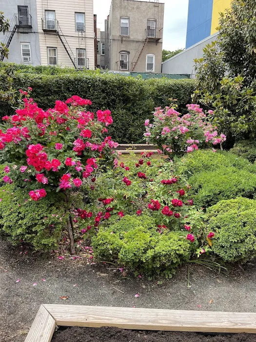 Bette's Rose Garden Picture 5