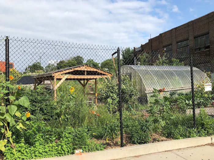 New Roots Community Farm Picture 2