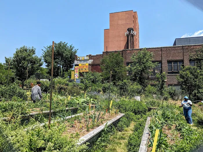 New Roots Community Farm Picture 1