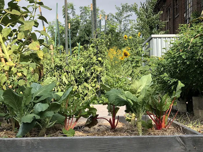 New Roots Community Farm Picture 6