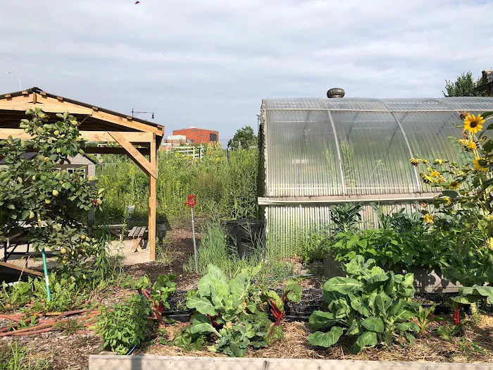 New Roots Community Farm Picture 3