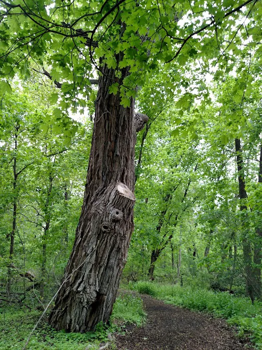 Gillie Park Picture 9