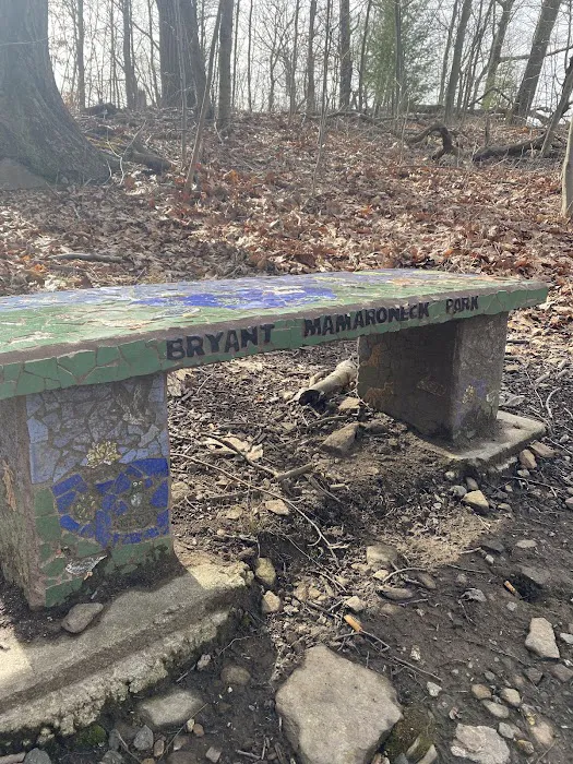 Bryant-Mamaroneck Park Picture 3