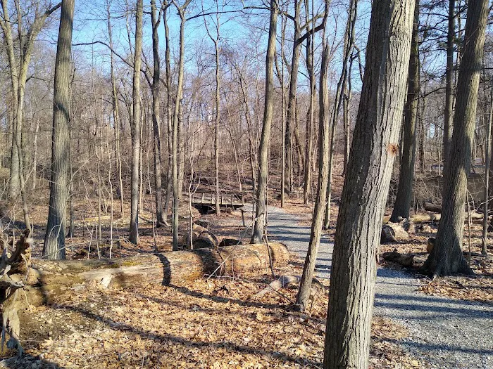 Bryant-Mamaroneck Park Picture 4