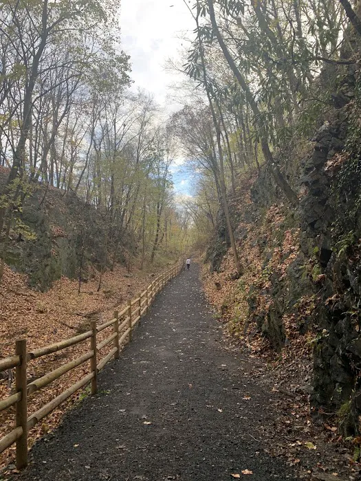 White Plains Greenway Trail Head Picture 10