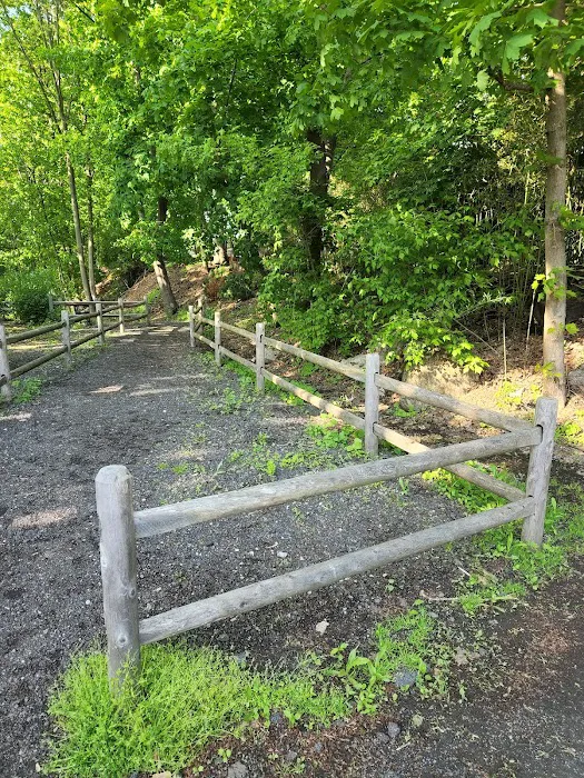 White Plains Greenway Trail Head Picture 6