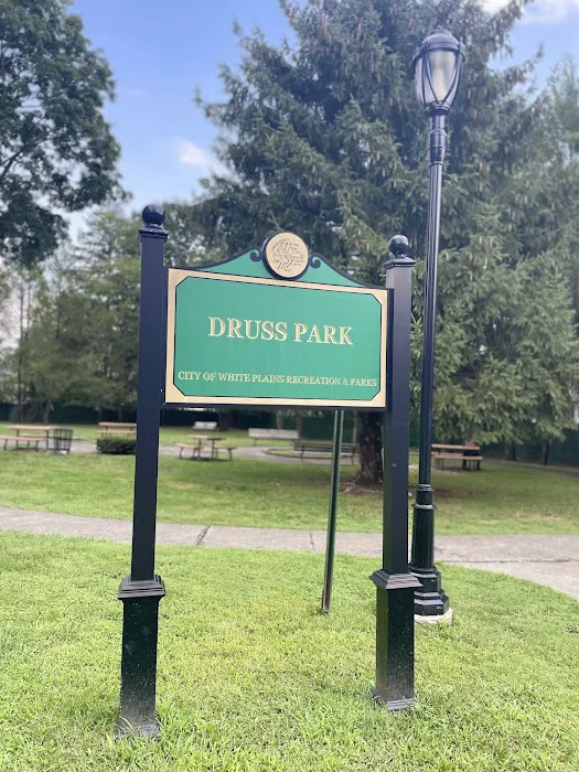 Druss Park Picture 5