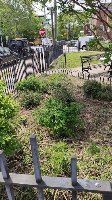 Carlos R. Lillo Park Picture 6