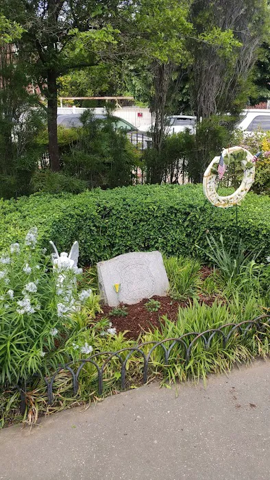 Carlos R. Lillo Park Picture 2