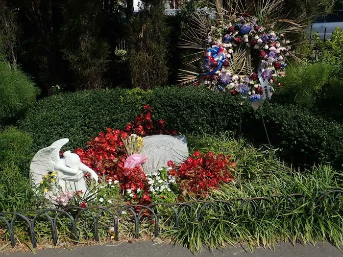 Carlos R. Lillo Park Picture 9