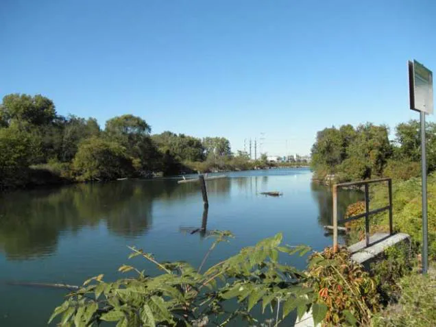 Luyster Creek Picture 3