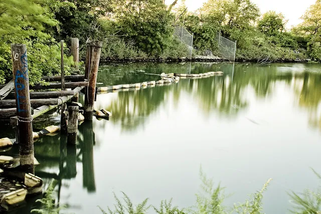 Luyster Creek Picture 2