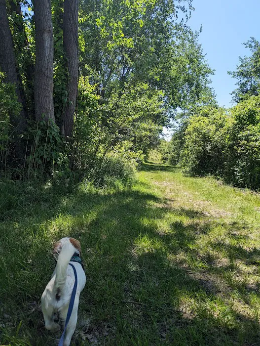 North Forty Natural Area Picture 10