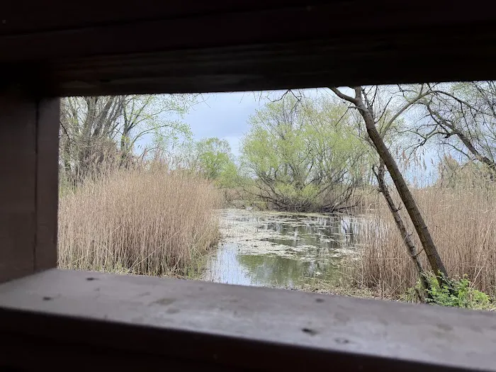 Jean Bourque Marsh Lookout Picture 2