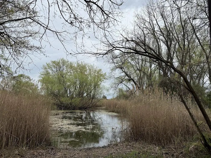 Jean Bourque Marsh Lookout Picture 4