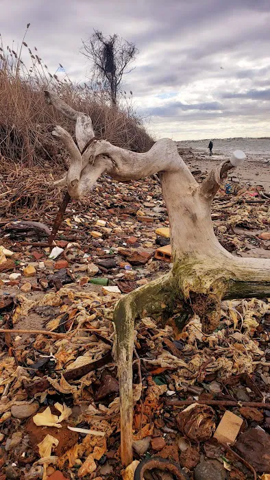 Glass Bottle Beach Picture 4