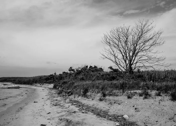 Glass Bottle Beach Picture 7