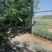 Hidden Path to Paerdegat Beach ico