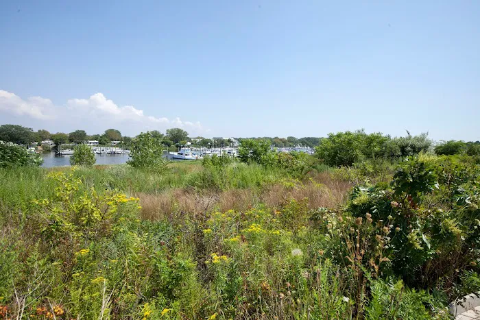 Ecology Park Picture 4