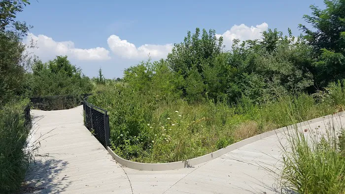 Ecology Park Picture 3