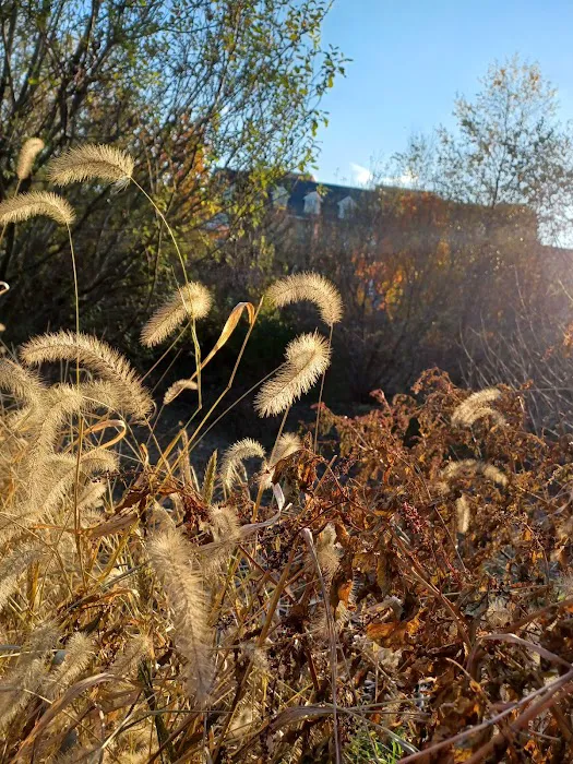 Ecology Park Picture 9