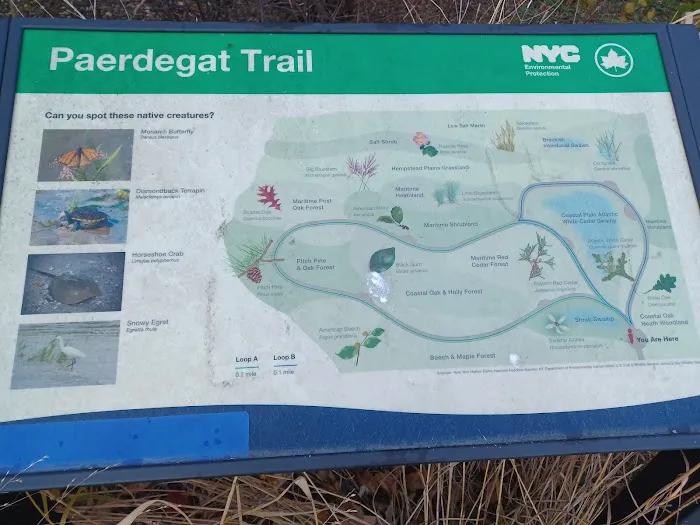 Ecology Park Picture 10