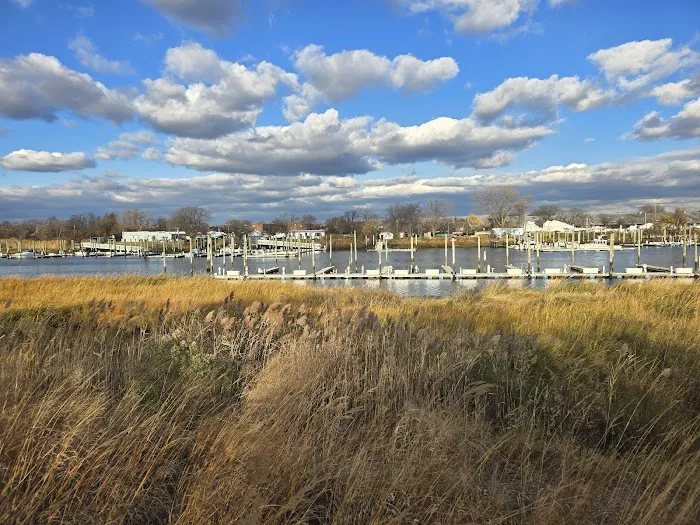 Ecology Park Picture 8