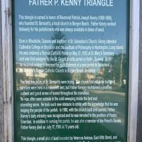Father Patrick Kenny Triangle ico