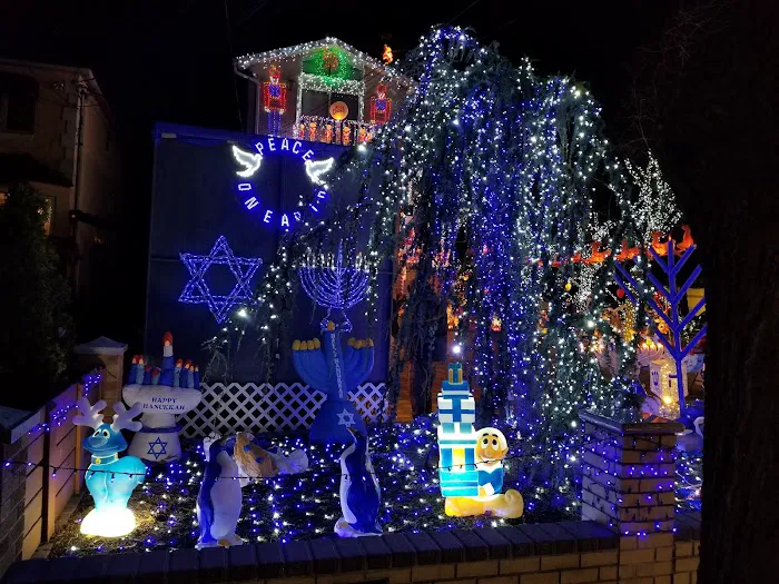 Awesome Holiday Lights House Picture 4
