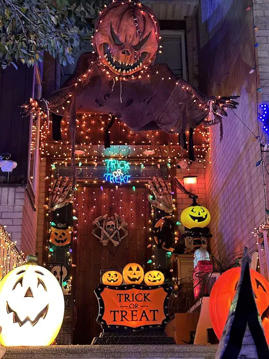 Awesome Holiday Lights House Picture 9