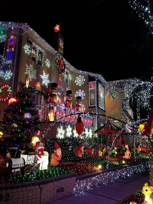 Awesome Holiday Lights House Picture 8