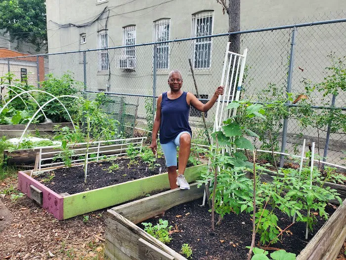 Positive Seeds of Life Garden Picture 1