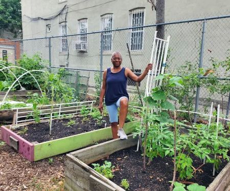 Positive Seeds of Life Garden