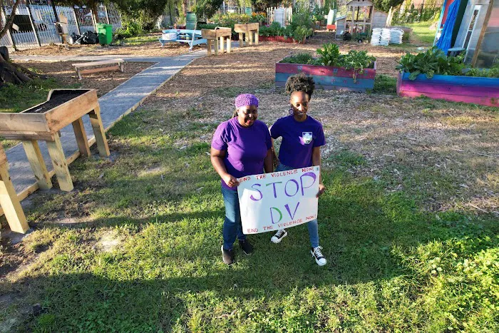 Success Community Garden Picture 4