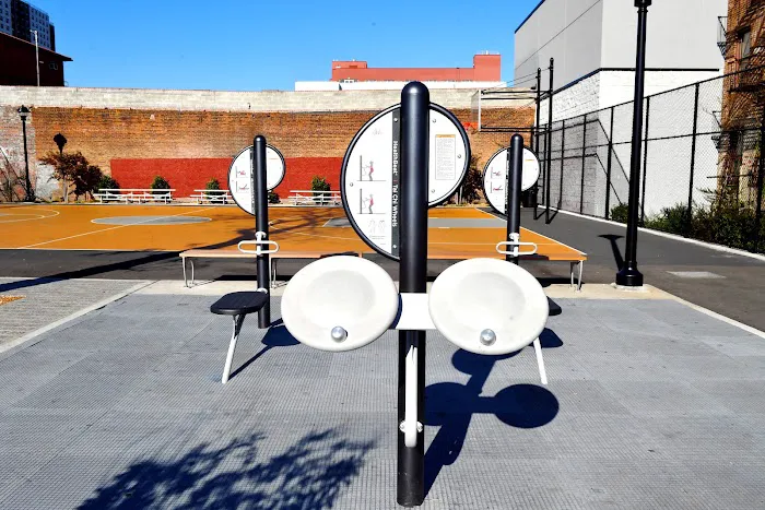 Lion's Pride Playground Picture 4