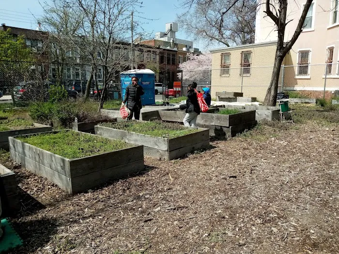 Poppa & Momma Jones Historic Community Garden Picture 7