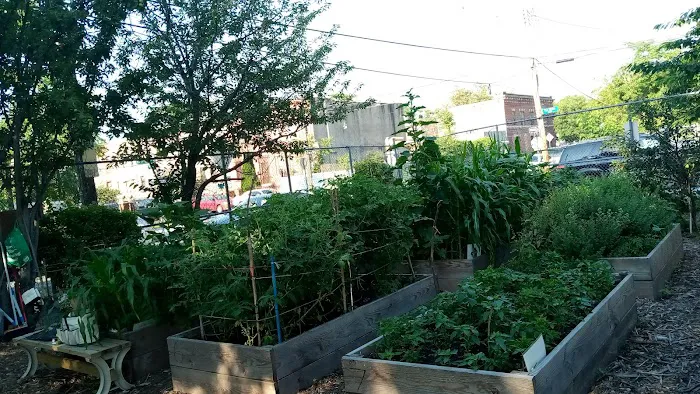 Poppa & Momma Jones Historic Community Garden Picture 4