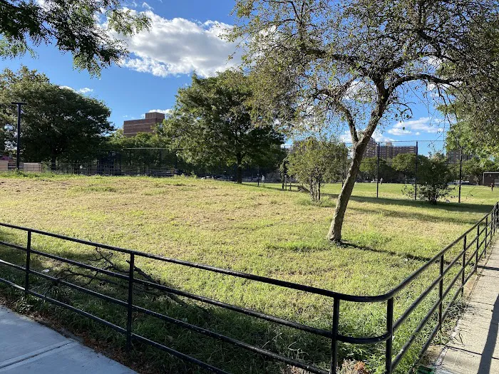 Floyd Patterson Ballfields Picture 1