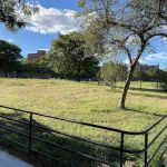 Floyd Patterson Ballfields