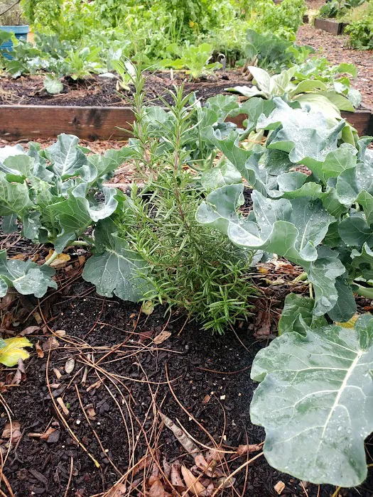 Abib Newborn Garden Picture 1