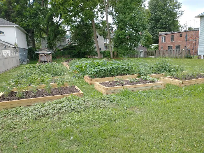 East End Community Garden Picture 2