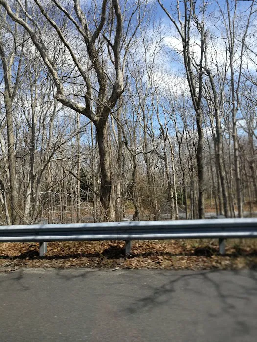 Hither Woods Preserve Picture 9