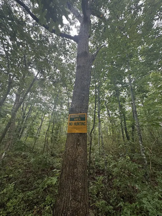 Hither Woods Preserve Picture 3