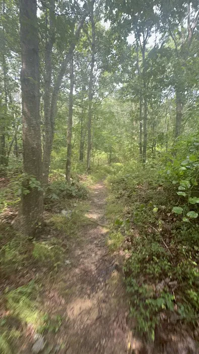 Hither Woods Preserve Picture 10