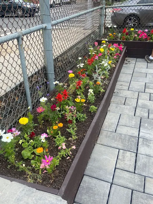Sunset Garden Picture 9